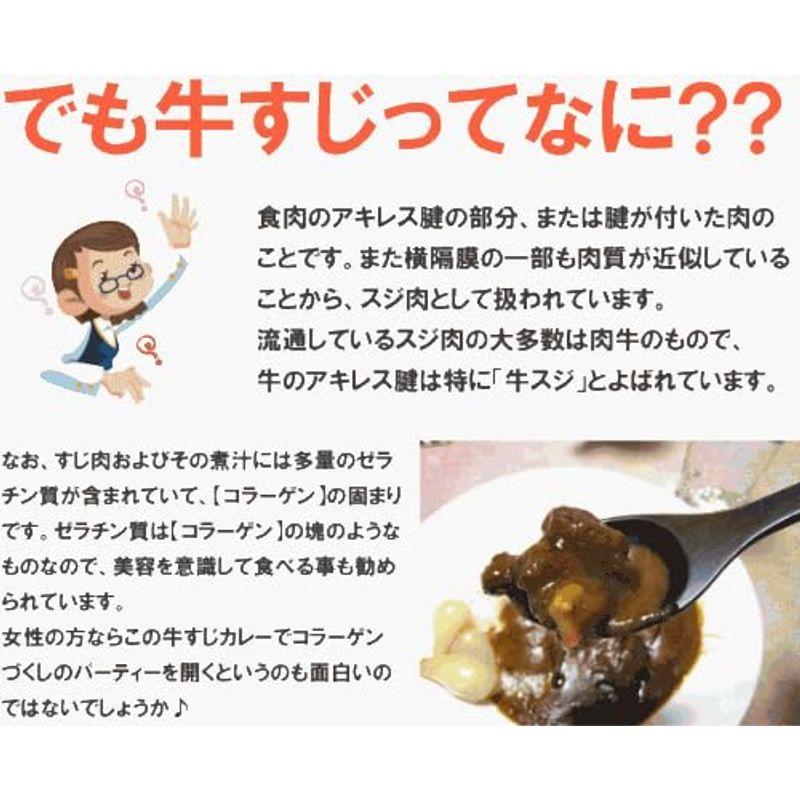 ご当地グルメ めっちゃ大阪 牛すじ カレー 200g×5袋(中辛×3＆辛口×2) 全国こだわりご当地カレー