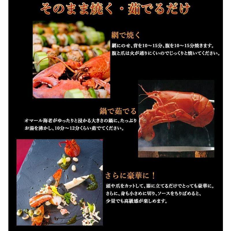 天然 活オマール海老（450ｇ）4尾入 活物専門商社魚活