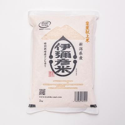 ふるさと納税 弥彦村 精米2kg×4袋　パックごはん8パック