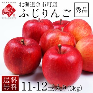 北海道 余市産 りんご リンゴ 10玉 入り（正規品：秀品・品種：ふじ）送料無料 取れたてをお届け