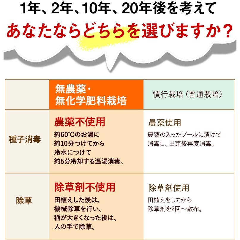 無農薬 玄米 米 10kg(5kg×2）無農薬 にこまる 令和5年福井県産 新米入荷 送料無料 無農薬・無化学肥料栽培