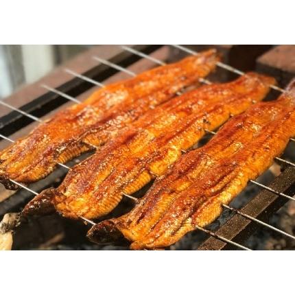 ふるさと納税 炭火手焼きうなぎの蒲焼 兵庫県神戸市