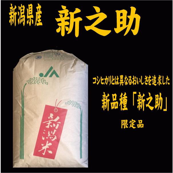 令和５年産新米　玄米30kg　送料無料　新潟産新之助