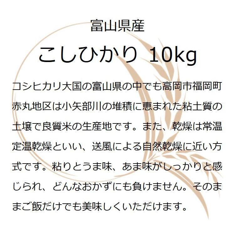 お米 ギフト 米 10kg 富山県赤丸産こしひかり 10キロ 富山県産 令和5年産 新米 お米ギフト コシヒカリ 白米 お米 精米 分づき米 食品 入学内祝い 引っ越し祝い