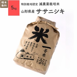 特別栽培米 山形県産 ササニシキ 5kg 5年産