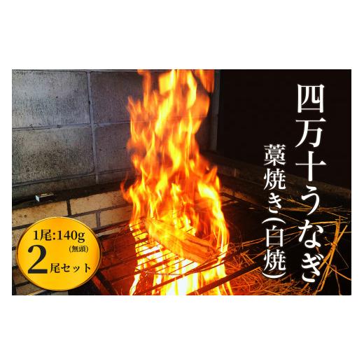 ふるさと納税 高知県 四万十町 四万十うなぎ藁焼き 白焼きEsu-106 冷凍 特大 たれ付き 蒲焼 白焼 国産 鰻 ウナギ うなぎ 蒲焼き 肉厚 土用の丑…