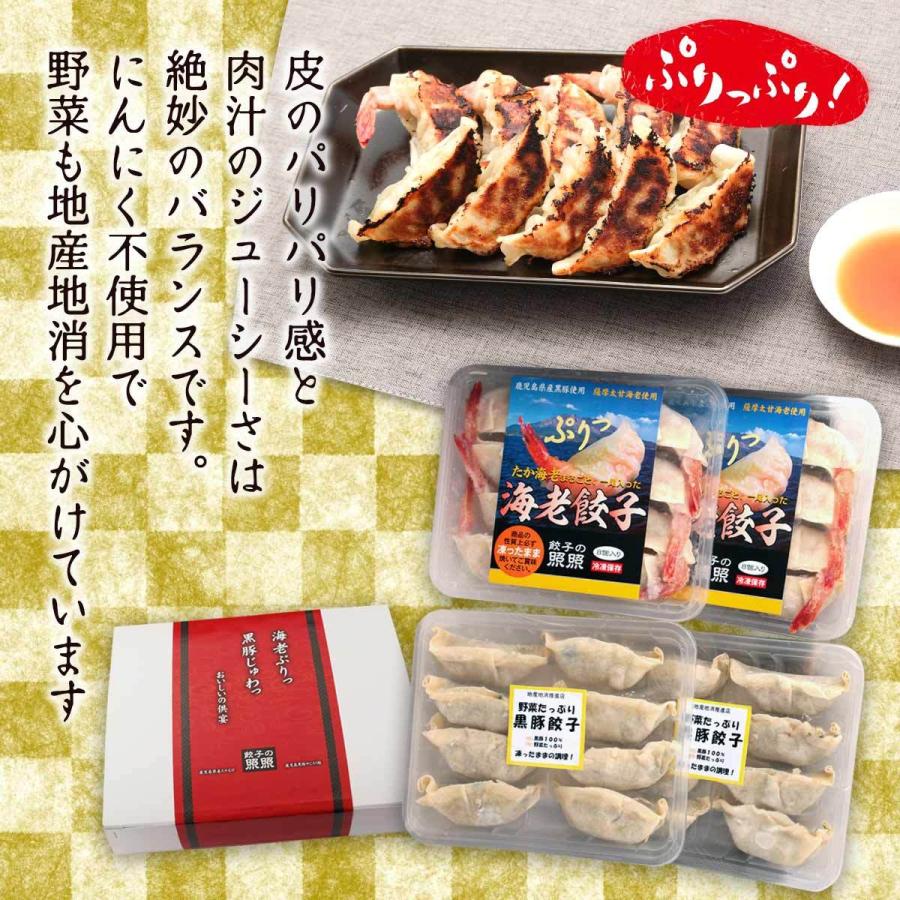 [餃子の照照] 餃子 まるごとたか海老餃子と野菜たっぷり黒豚餃子セット  海老餃子8個入り×2 黒豚餃子8個入り×2 鹿児島 餃子 冷凍餃子 黒豚 えび