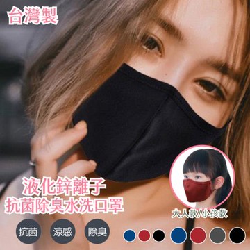 【逛逛市集】(3入) MIT防塵除臭水洗口罩 布口罩