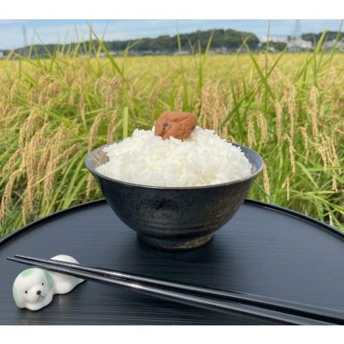 こしひかり　24キロ　令和5年産　茨城県産　精白米　新米　農家直送