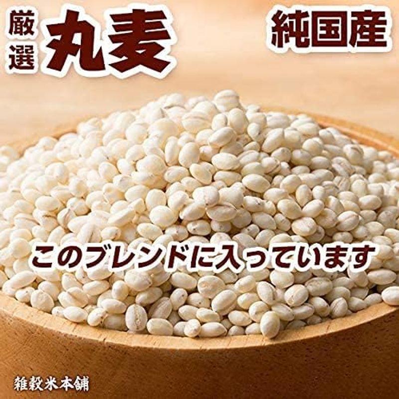 雑穀 麦 国産 麦5種ブレンド(丸麦 押麦 はだか麦 もち麦 はと麦) 1kg(500g×2袋) 一部地域を除く 雑穀米本舗