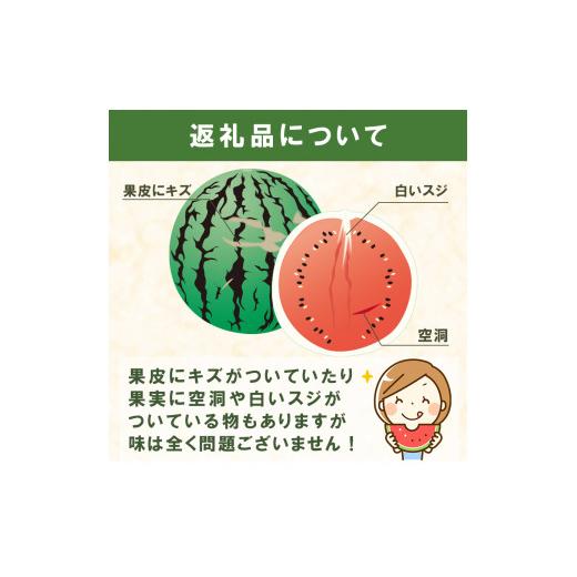 ふるさと納税 熊本県 和水町 大玉スイカ（1玉）熊本県産 西瓜 すいか 産地直送 くまもと 名産地 熊本和水町