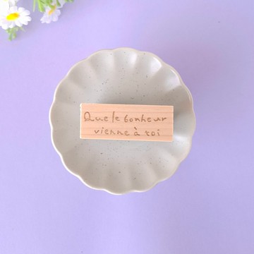 【願幸福降臨於你】美麗的法語短語印章 時尚文字 法式 手章