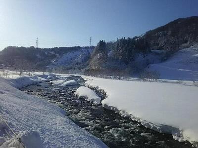 ≪令和5年産≫農家直送！魚沼産コシヒカリ特別栽培「白羽毛の米」玄米(30kg×1袋)×6回  計180kg