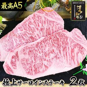 肉汁したたる 極上 サーロインステーキ２枚 (合計500g) 博多和牛A5ランク