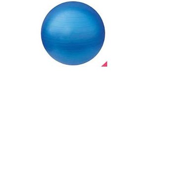 【線上體育】龍球, 瑜珈球 半圓 65CM(無內胎)-M13104