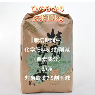 ふるさと納税 諫早市 特別栽培米・九州のこだわり米「ひのひかり 」玄米10kg全3回