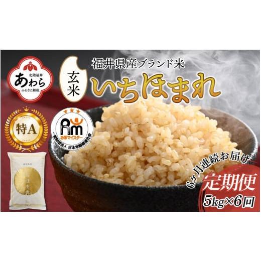 ふるさと納税 福井県 あわら市 定期便6回 いちほまれ 玄米 5kg×6回（計30kg）《新鮮な高品質米をお届け！》／ 福井県産 ブランド米 ご飯