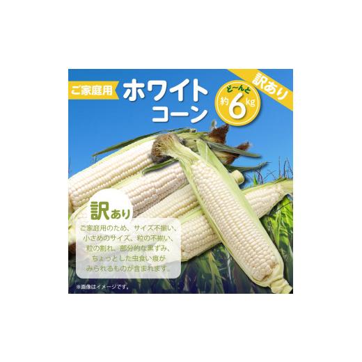 ふるさと納税 香川県 高松市 訳あり ご家庭用 ホワイトコーン 約6kg