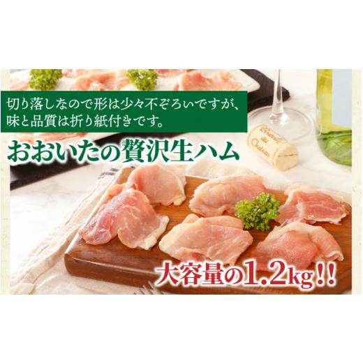 ふるさと納税 大分県 国東市 おおいたの贅沢生ハムを大容量の1.2kg?_0245N