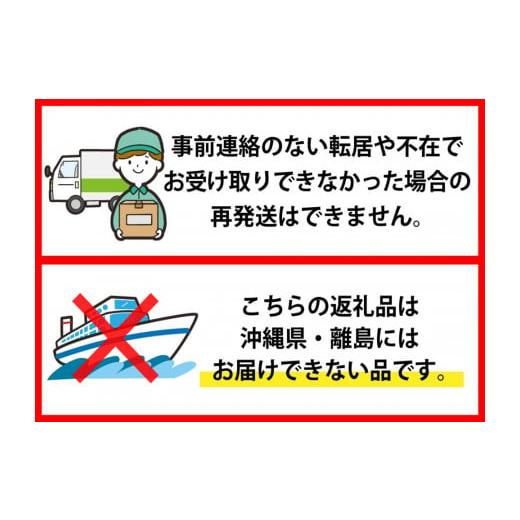 ふるさと納税 山形県 河北町 ※2024年4月中旬スタート※ はえぬき60kg（20kg×3ヶ月）定期便 山形県産