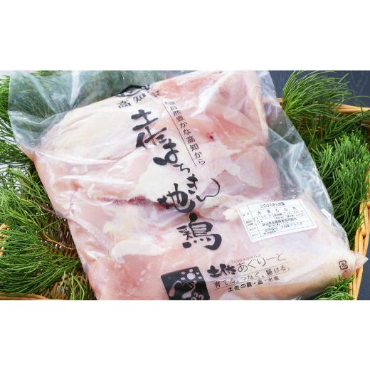 ふるさと納税 高知県 室戸市 はちきん地鶏もも肉＆むね肉セット