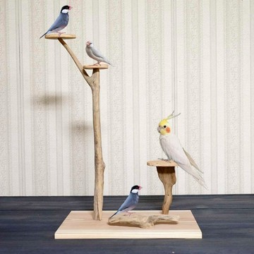 漂流木棲木【鳥類國度的搖籃曲】鳥站、棲木、漂流木、漂流木藝術、裝飾架、144