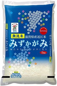 滋賀県産 無洗米 みずかがみ 5kg 令和4年産