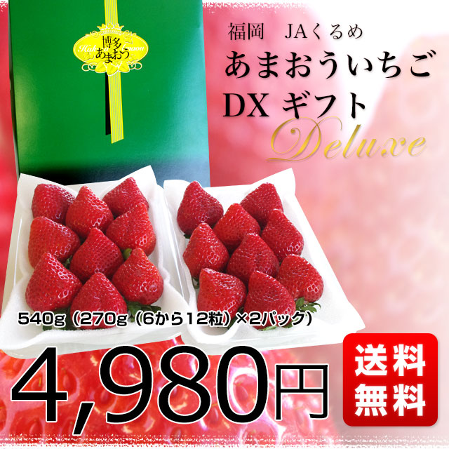 福岡県より産地直送 JAくるめ あまおういちご DX:ギフト用デラックス 約540g(270g×2パック) 送料無料 苺 いちご イチゴストロベリー