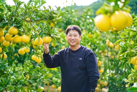 園主こだわりの土佐文旦　10kg  1月～3月発送 文旦 みかん 柑橘 ぶんたん ブンタン 果物 フルーツ お取り寄せ おいしい 美味しい 故郷納税 ふるさとのうぜい 返礼品 高知県 高知 18000円 