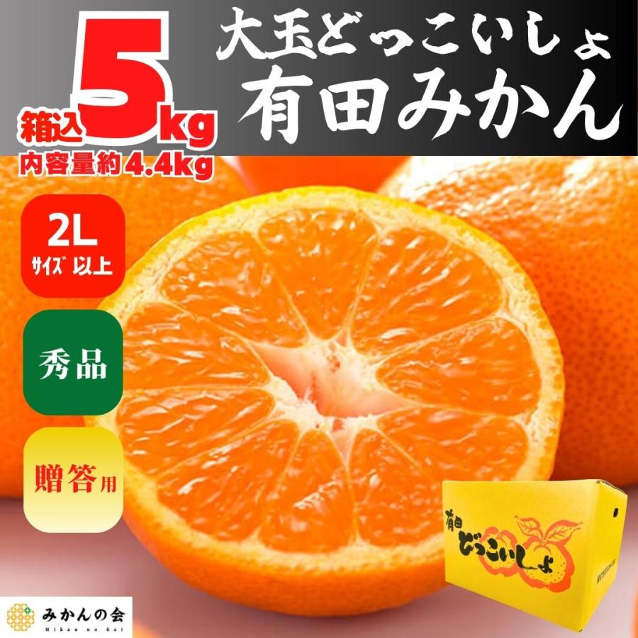 みかん  大玉 どっこいしょ 箱込 5kg 内容量 4.4kg 2Lサイズ以上 秀品 有田みかん 和歌山県産 産地直送 贈答用