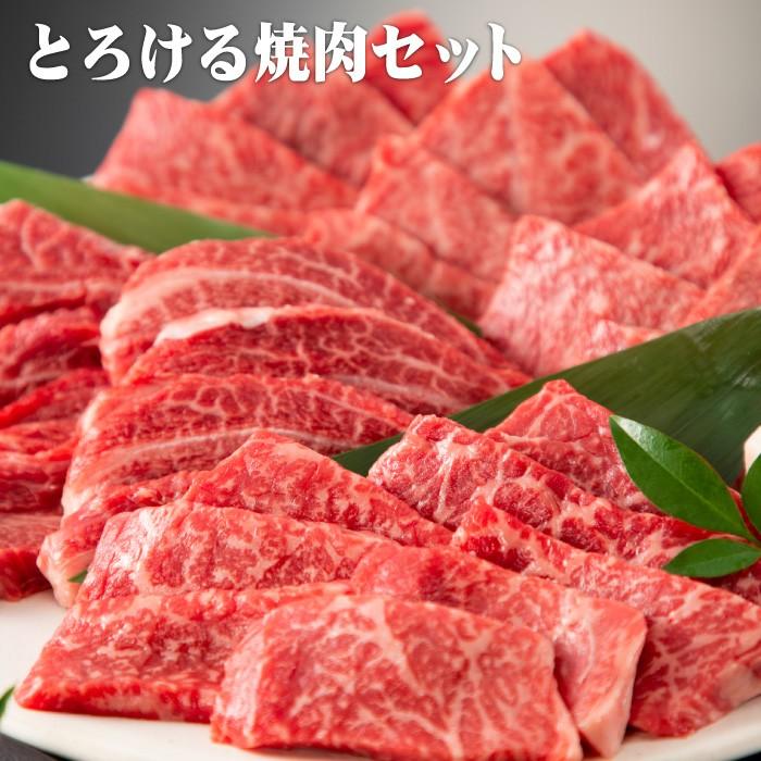 焼肉 黒毛和牛「極み」とろける焼肉セット 450g（2〜3人前）（竹） 焼き肉 お試しセット 送料無料