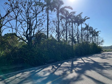 108大園區大面寬雙面路一般農｜桃園市大園區南港段