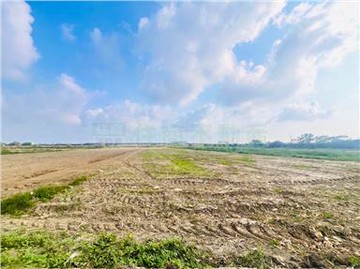 七股828坪低總價農地｜台南市七股區城內