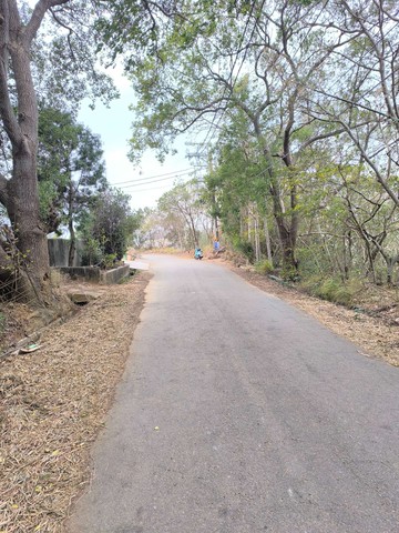 清水區海風段區段徵收產業園區農地｜台中市清水區海風段
