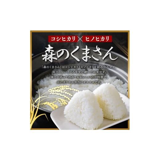 ふるさと納税 熊本県 玉名市 森のくまさん 白米 5kg×6回