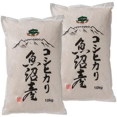 ふるさと納税 南魚沼市 南魚沼産コシヒカリ 無洗米10kg×2袋令和5年産