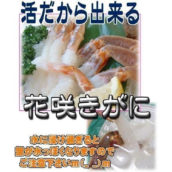 地物 (生) 松葉がに 2〜3枚 約1.8kg〜2.0kg　