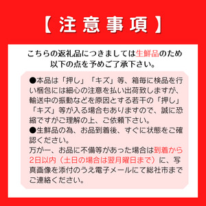 ぶどう「マスカットオブアレキサンドリア」　岡山県総社市産24-020-005