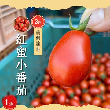 【初品果】美濃達哥紅蜜小番茄禮盒3斤x1盒_1/15開始陸續出貨