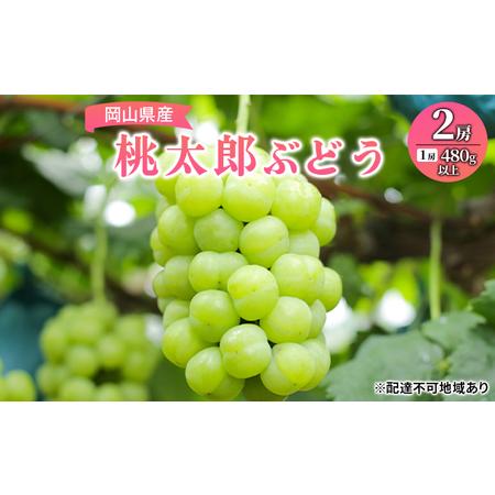 ふるさと納税 ぶどう 2024年 先行予約 桃太郎 ぶどう 2房（1房480g以上） ブドウ 葡萄  岡山県産 国産 フルーツ 果物 ギフト 岡山県岡山市