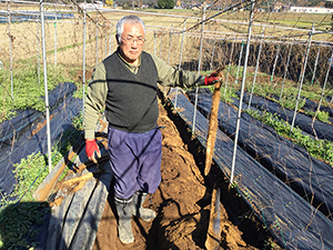 AJ001　益子・まるほ農園の自然薯そばと自然薯うどん　5袋セット