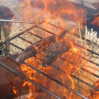 室戸流藁焼きかつおたたきセット　１４００～１７００ｇ