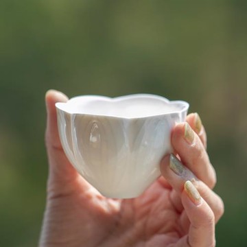 山水間蓮花品茗杯月見花郁金香慈姑花朝顏花高溫陶瓷茶杯茶器茶道