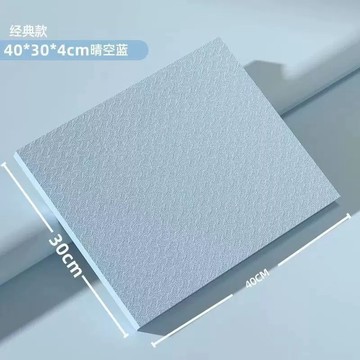 【隔日到貨💥免運】TPE平衡墊 4cm加厚 超慢跑墊 健腹輪跪墊 瑜珈護墊 運動 瑜珈墊加厚 瑜珈磚 健身 跪墊 止滑墊