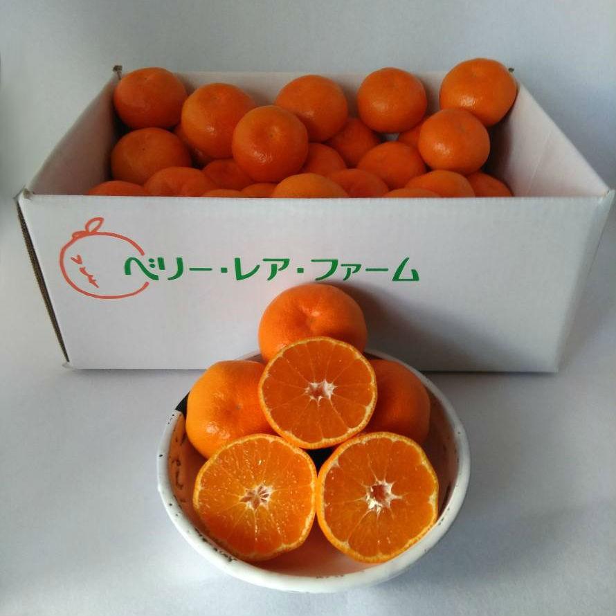 山下紅みかん（5kg×1箱)