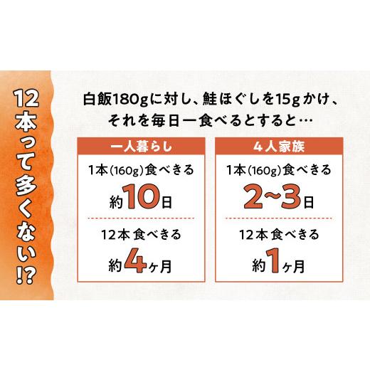 ふるさと納税 岩手県 金ケ崎町 国産 鮭ほぐし (160g)×12本 6ヶ月定期便(隔月発送) 鮭フレーク さけフレーク しゃけフレーク 朝ごはん おにぎ…