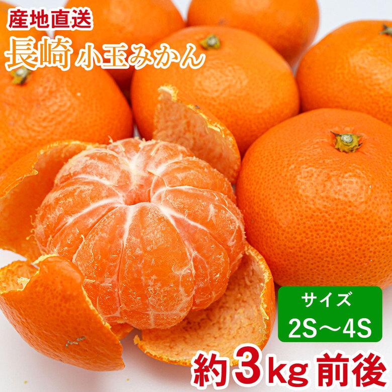 送料無料 長崎小玉みかん 約3kg 秀 優品 産地直送 長崎県 長崎 温州みかん みかん 約 3kg 長崎県産 長崎みかん 国産 国産みかん 小玉 通販 箱買い