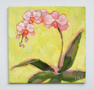 藍色繡球花原創油畫 15x15cm  花卉靜物繡球花
