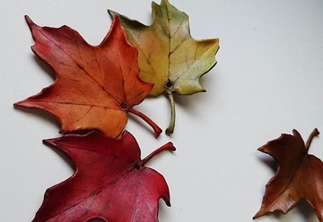 楓葉心情　魅力四色優惠~皮革書籤/吊飾/項鍊