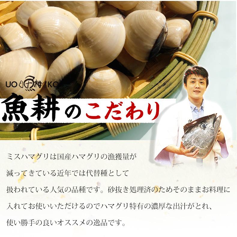 はまぐり 殻付きハマグリ 500g 砂抜き済ですぐ料理に使える！ 殻付はまぐり ミスハマグリ